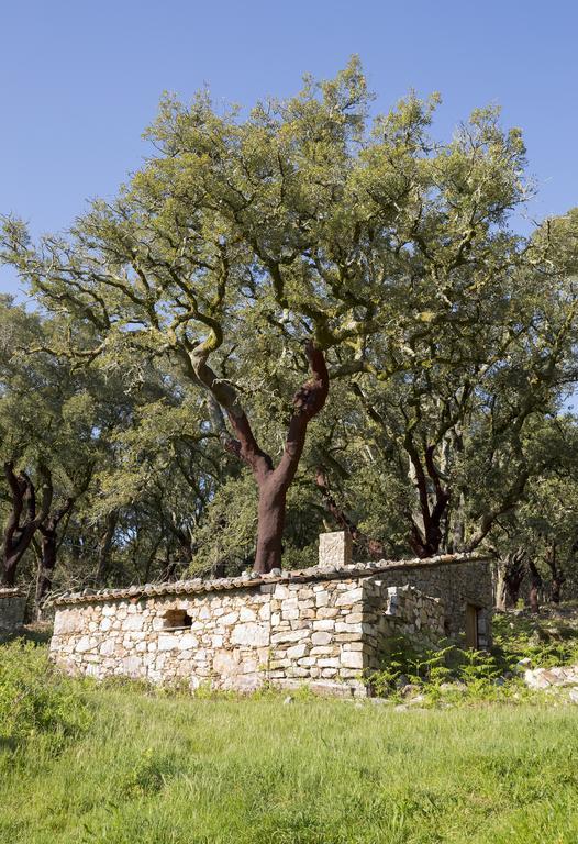 Ferraria de São João 卡萨得泽萨帕特洛旅馆酒店 外观 照片