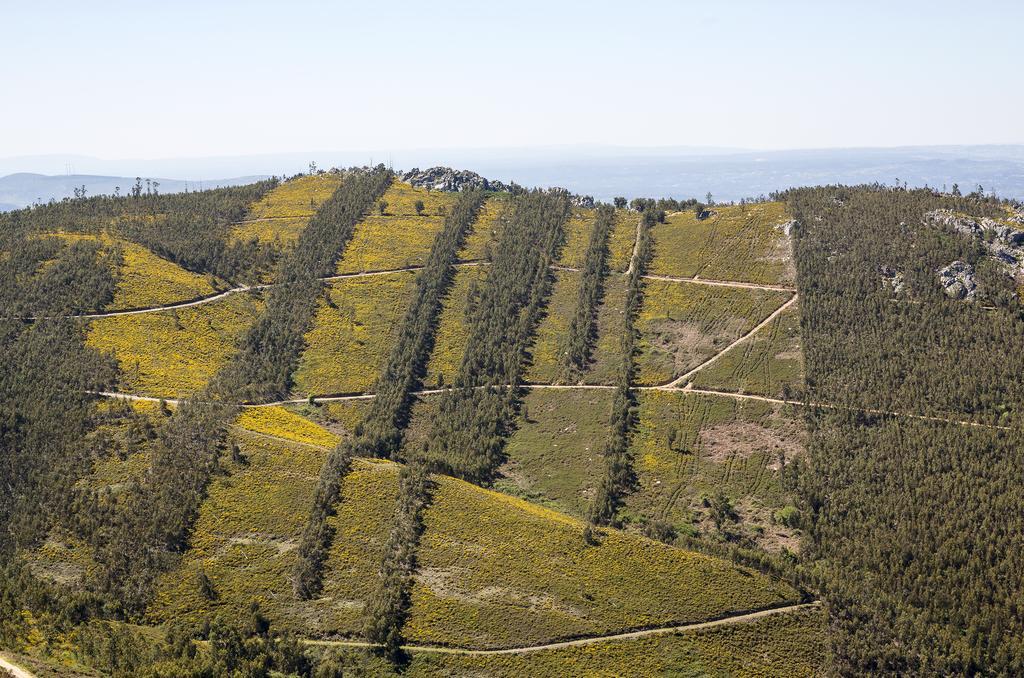 Ferraria de São João 卡萨得泽萨帕特洛旅馆酒店 外观 照片